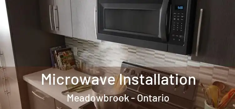 Microwave Installation Meadowbrook - Ontario