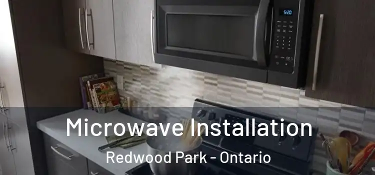 Microwave Installation Redwood Park - Ontario