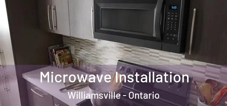 Microwave Installation Williamsville - Ontario