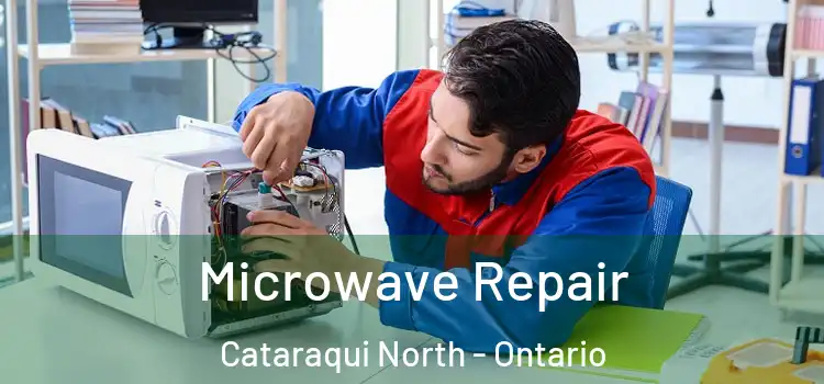 Microwave Repair Cataraqui North - Ontario