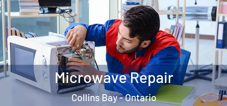 Microwave Repair Collins Bay - Ontario