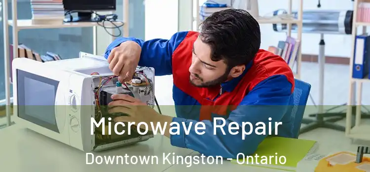 Microwave Repair Downtown Kingston - Ontario