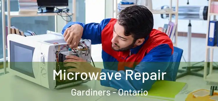 Microwave Repair Gardiners - Ontario