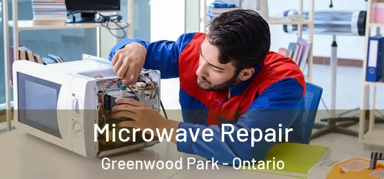 Microwave Repair Greenwood Park - Ontario