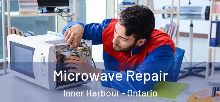 Microwave Repair Inner Harbour - Ontario