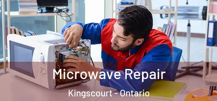 Microwave Repair Kingscourt - Ontario
