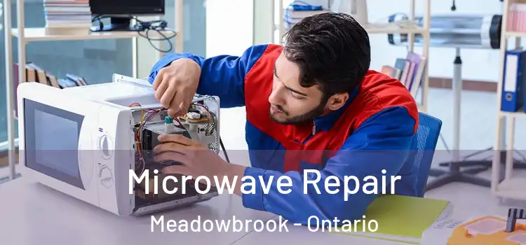 Microwave Repair Meadowbrook - Ontario