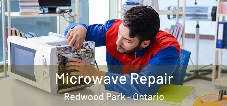 Microwave Repair Redwood Park - Ontario