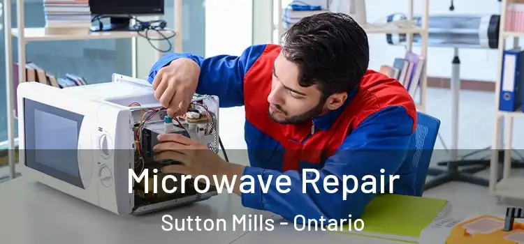 Microwave Repair Sutton Mills - Ontario