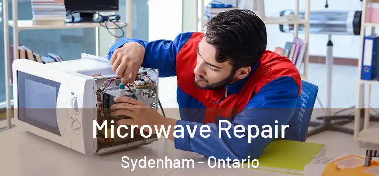 Microwave Repair Sydenham - Ontario