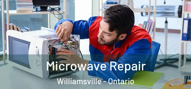 Microwave Repair Williamsville - Ontario