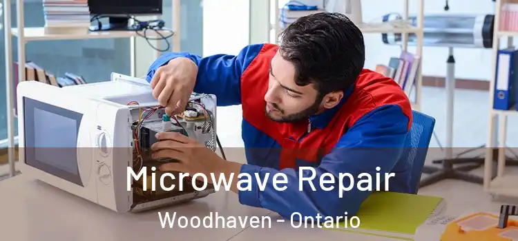 Microwave Repair Woodhaven - Ontario