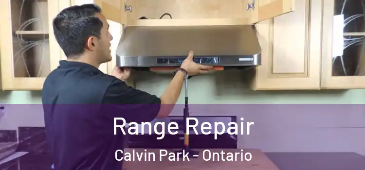 Range Repair Calvin Park - Ontario