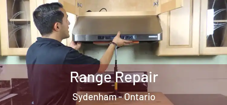 Range Repair Sydenham - Ontario