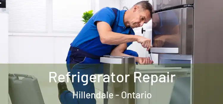 Refrigerator Repair Hillendale - Ontario
