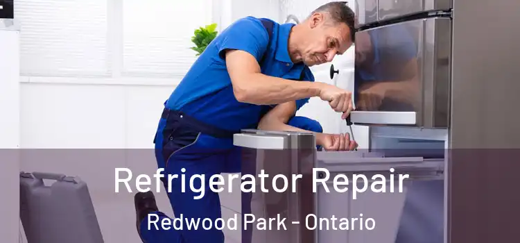 Refrigerator Repair Redwood Park - Ontario