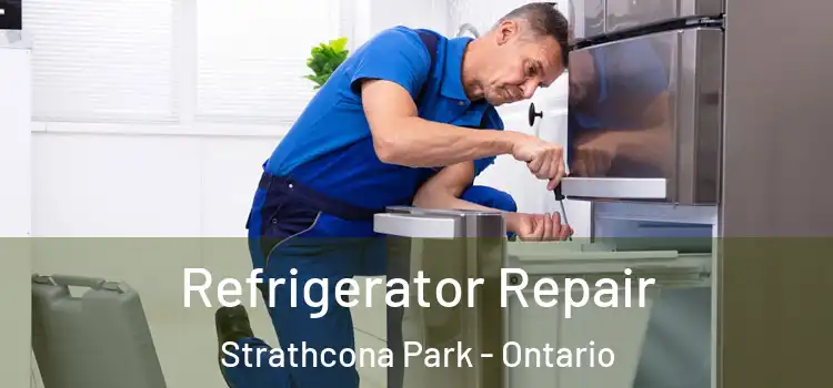Refrigerator Repair Strathcona Park - Ontario