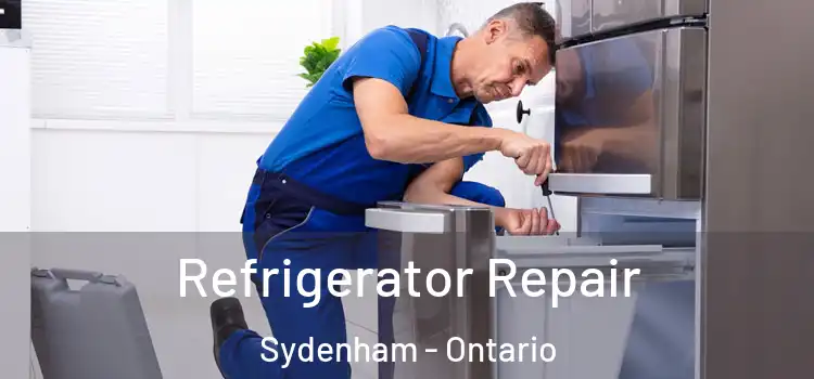 Refrigerator Repair Sydenham - Ontario