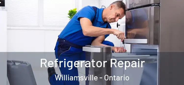 Refrigerator Repair Williamsville - Ontario