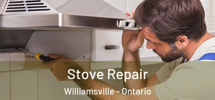 Stove Repair Williamsville - Ontario