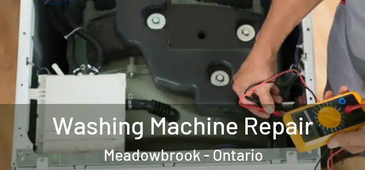 Washing Machine Repair Meadowbrook - Ontario