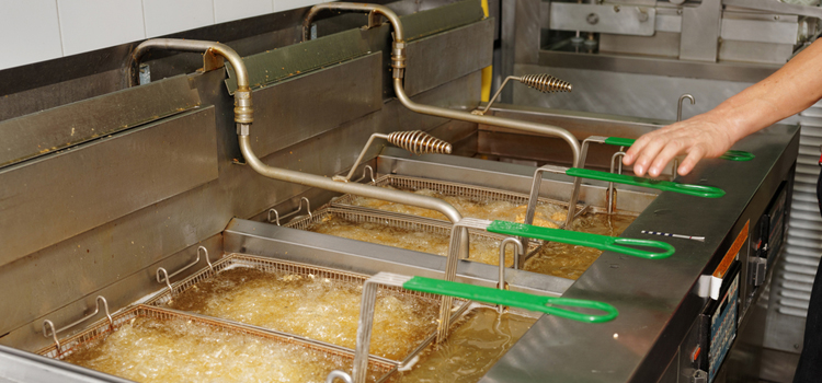 Avantgarde Commercial Fryer Repair in Kingston