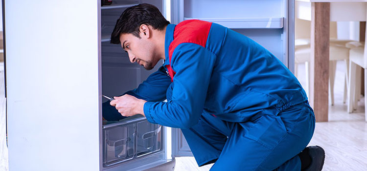 Avantgarde Freezer Repair Services in Kingston